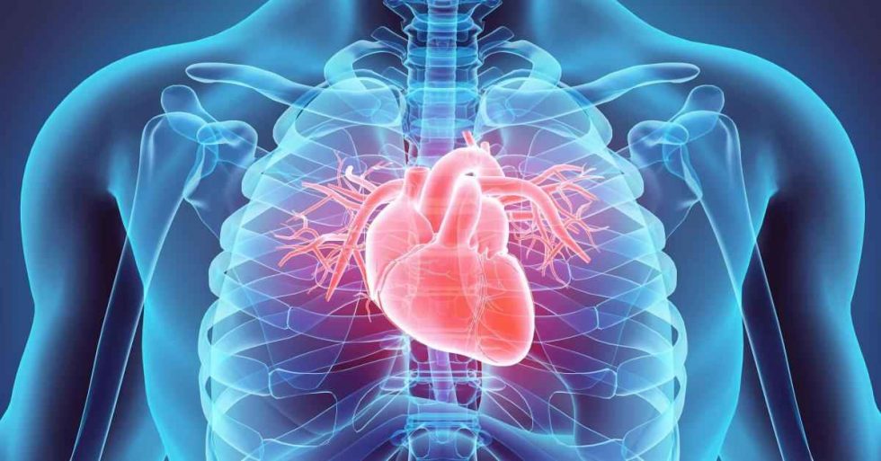 Magnesium and Heart Health Zechsta Magnesium